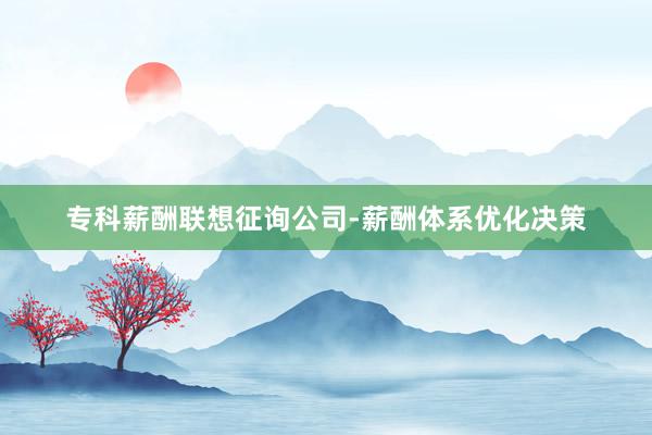 专科薪酬联想征询公司-薪酬体系优化决策