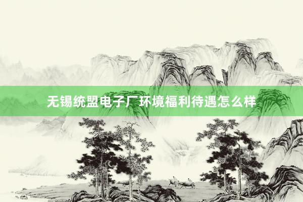 无锡统盟电子厂环境福利待遇怎么样