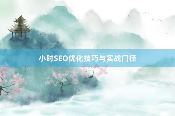 小时SEO优化技巧与实战门径
